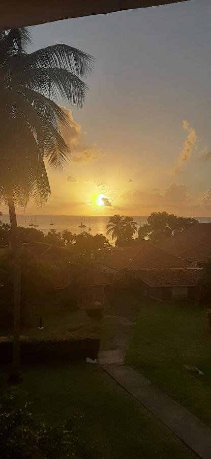 Case Coco A Sainte Anne Avec Wifi Vue Mer Экстерьер фото